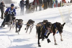 Lenk 2012 SM